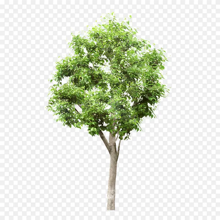 ��-������