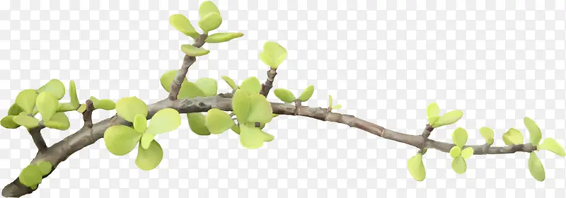 ��֦-������