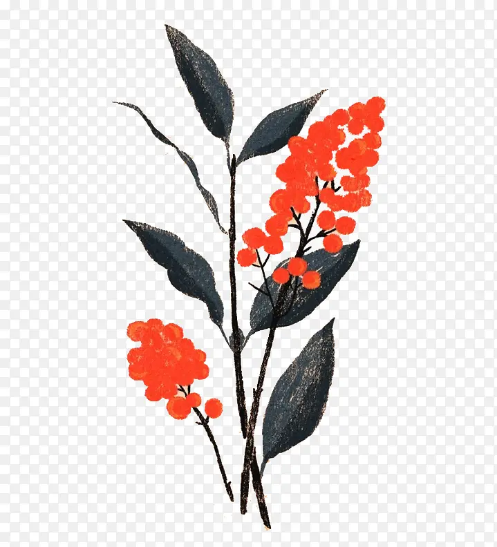 �ֻ�ֲ��-������