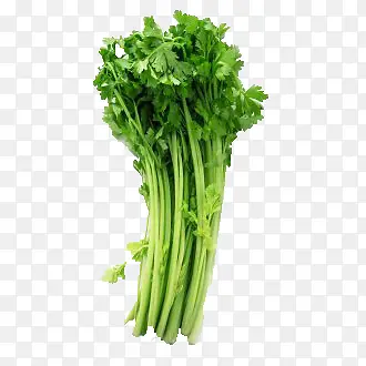 �ز�-������