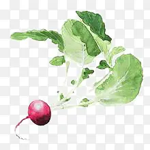 �ز�ˮ�ʻ�-������