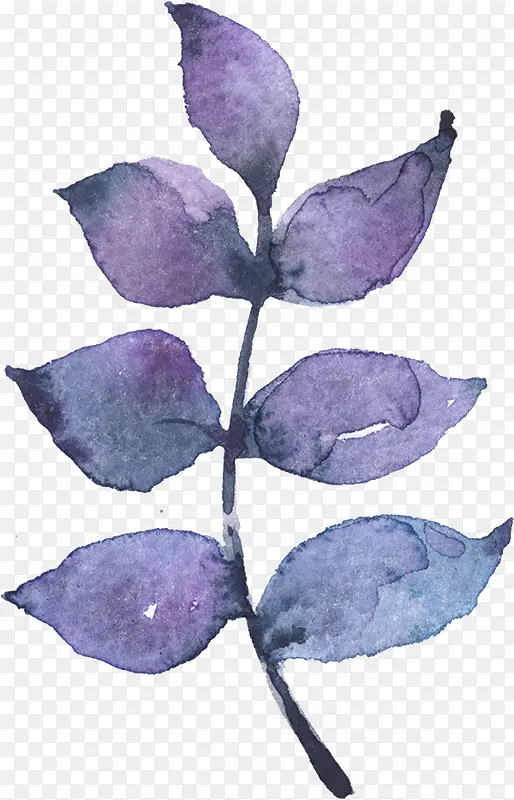 �ֻ���Ҷ-������