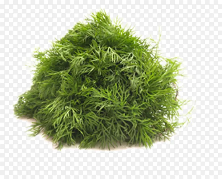 ���-������