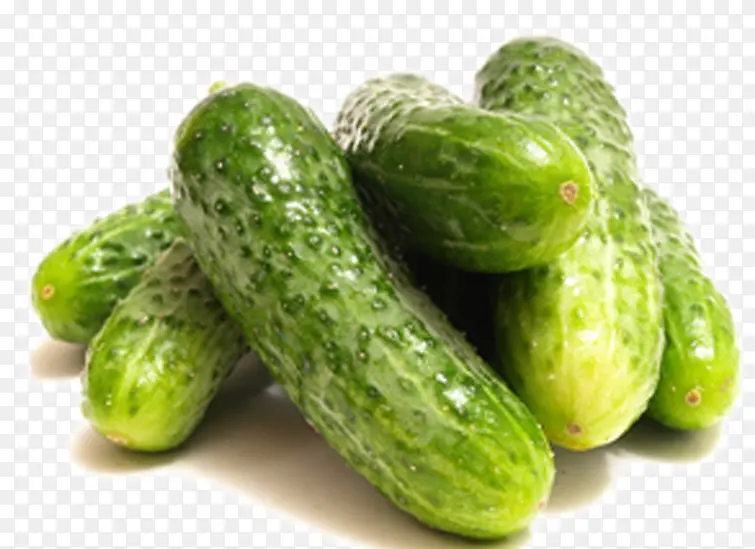 �ƹ�-������