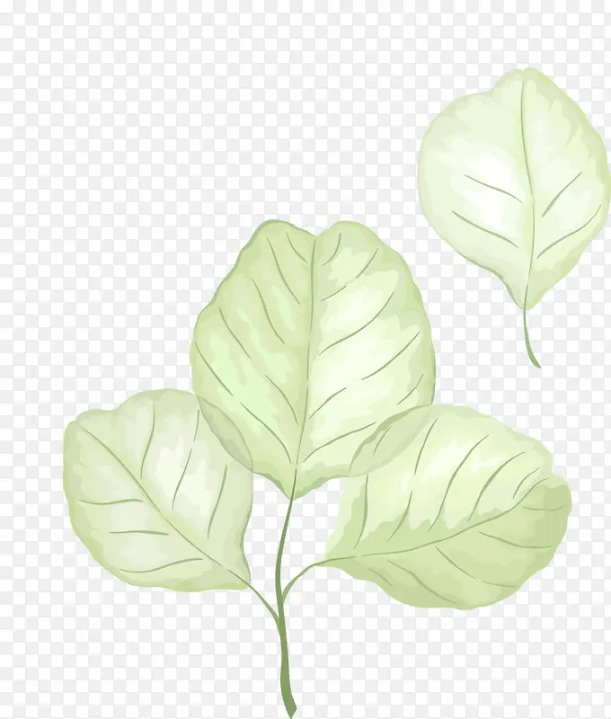 �ֻ�Ҷ��-������