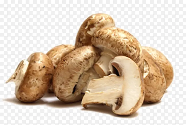 �㹽-������