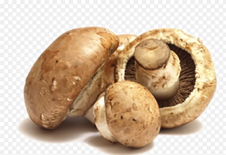 �㹽-������