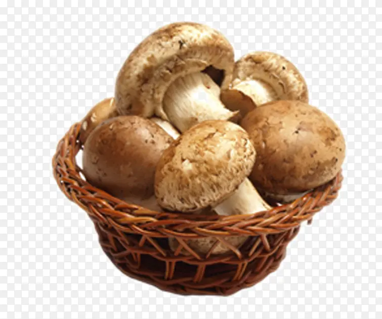 �㹽-������