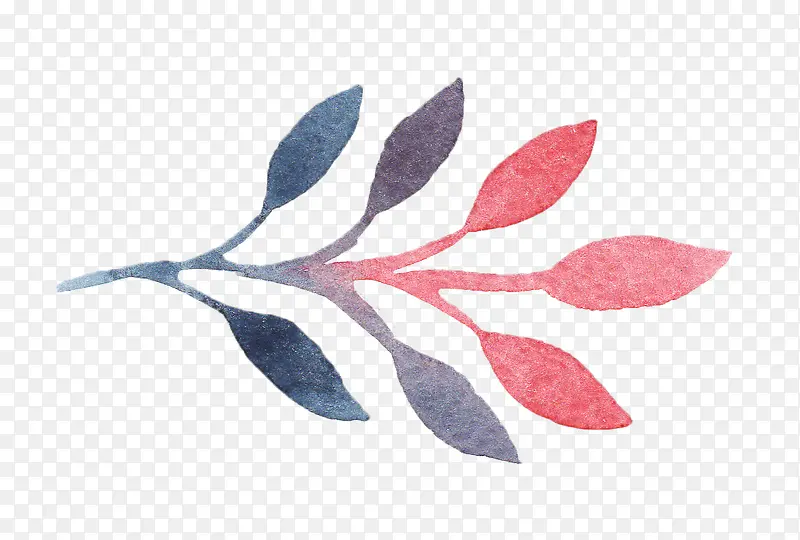 ˮ����Ҷ-������