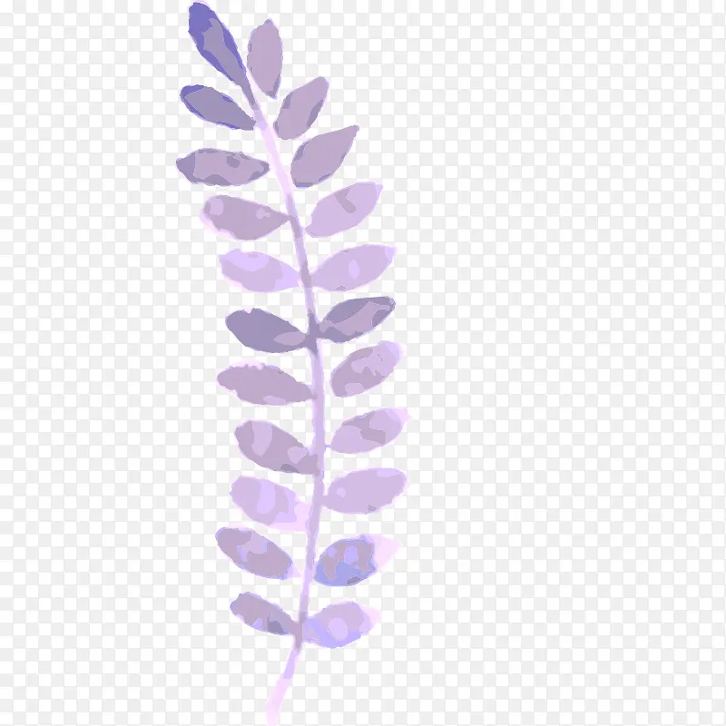 ˮ�ʻ� ֲ��  ���� �ֻ� ��Ҷ-������