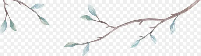 ˮ���´���֦��ѿ-������