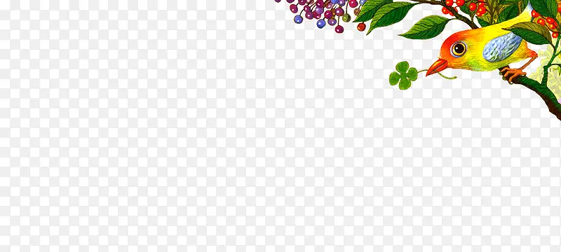 ��ɫ����֦�й���ʻ�-������