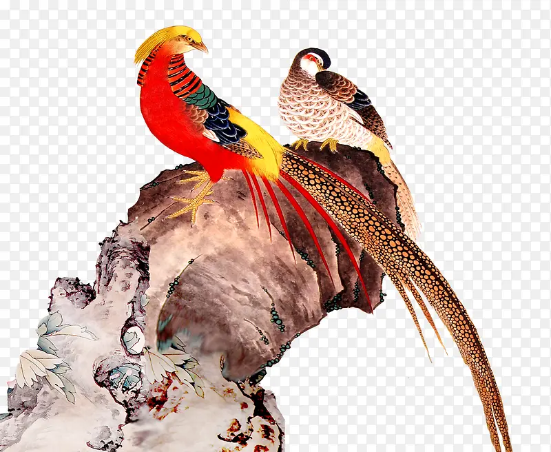 �й�����֦-������