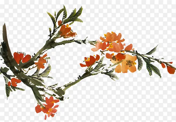 ��֦-������