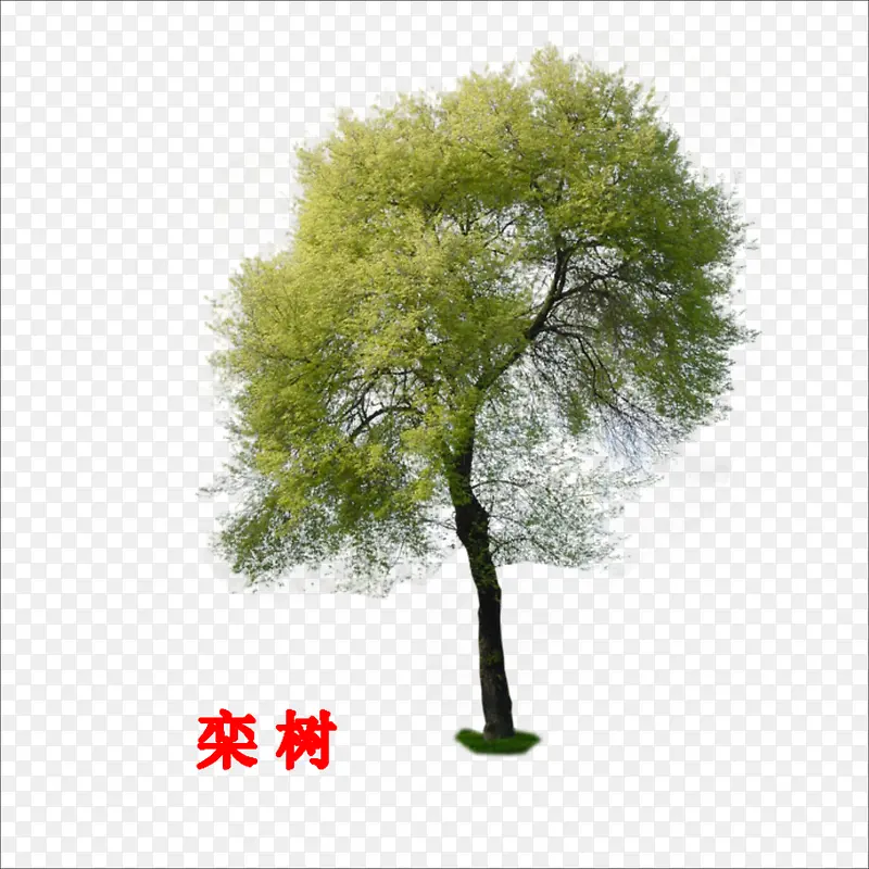 ����-������