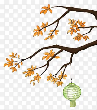 ��֦-������