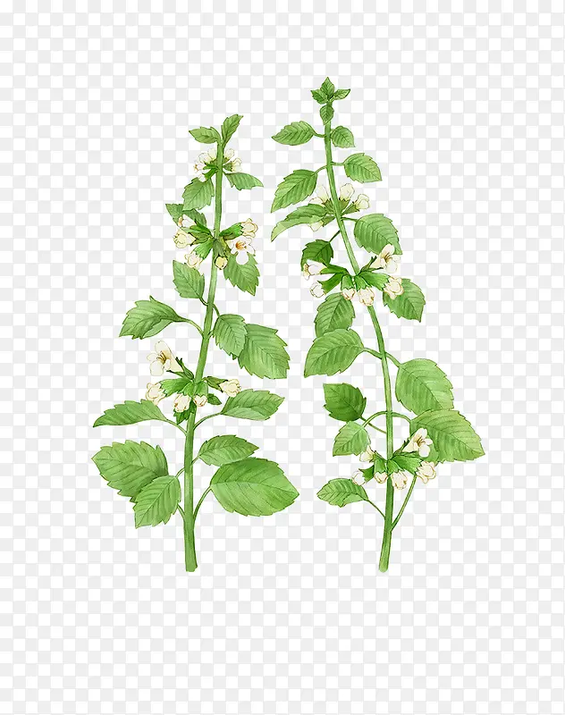 ��ͨ�ֻ��߲�װ�κ������-������