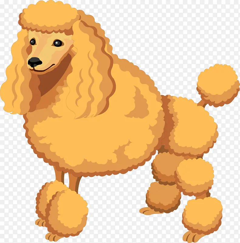 ��ͨ�ɰ�С����װ�ζ���ͷ�񹷹�-������