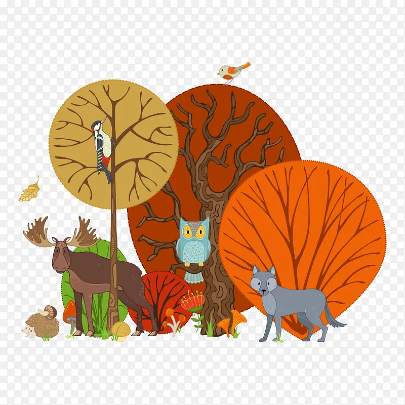 ��ͨ�ɰ�С����װ�ζ���ͷ��-������