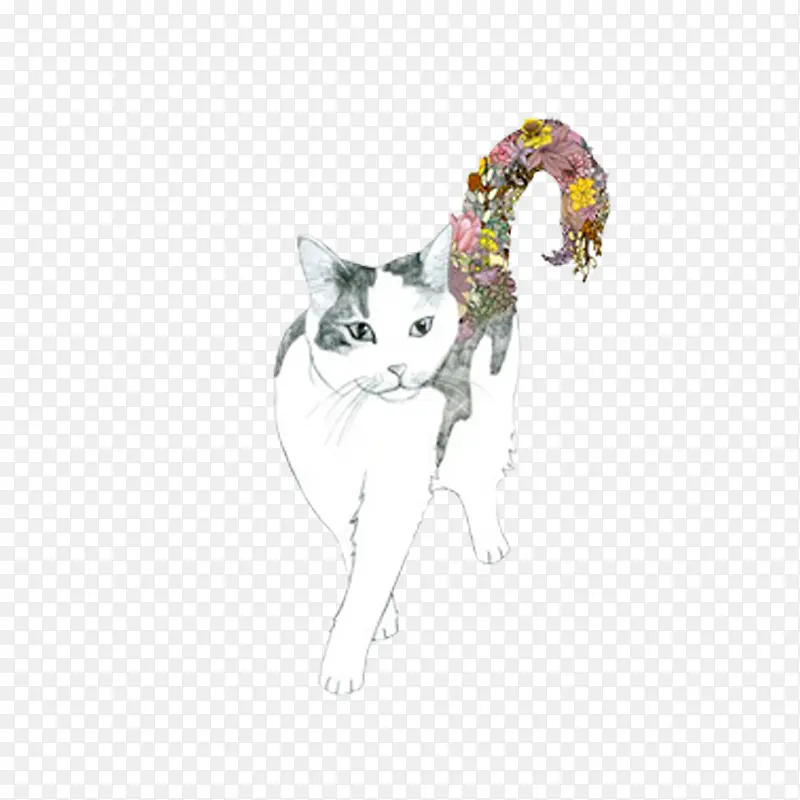 ��ͨ�ɰ�С����װ����ƶ���ͷ��-������