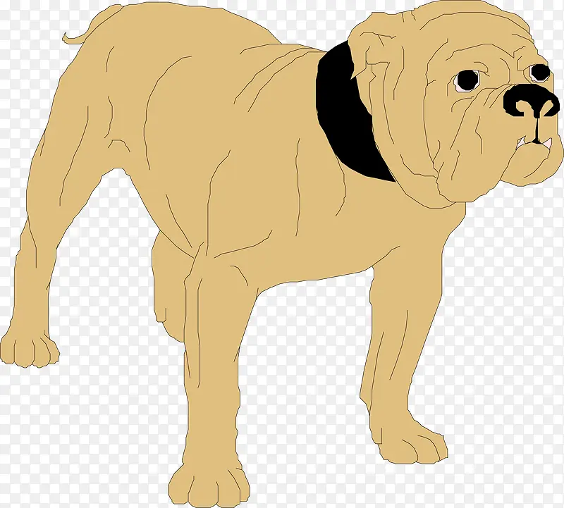 ��ͨ�ɰ�С����װ����ƶ���ͷ��-������