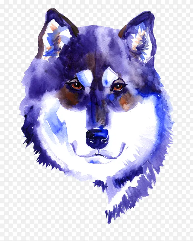 ��ͨ�ɰ�С����װ����ƶ���ͷ��-������