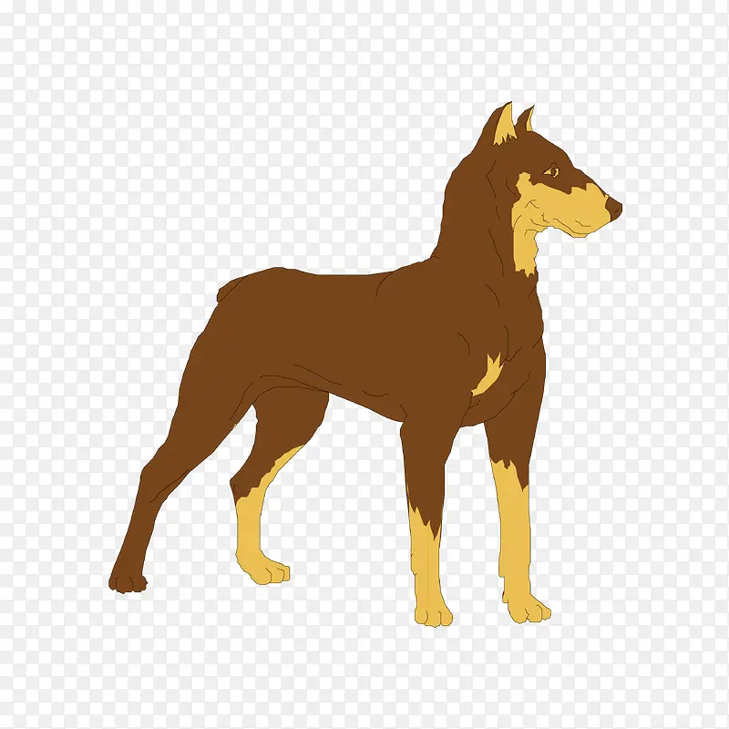 ��ͨ�ɰ�С����װ����ƶ���ͷ��-������