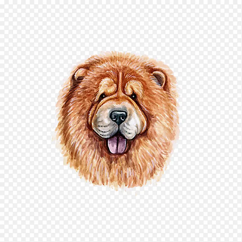 ��ͨ�ɰ�С����װ����ƶ���ͷ��-������