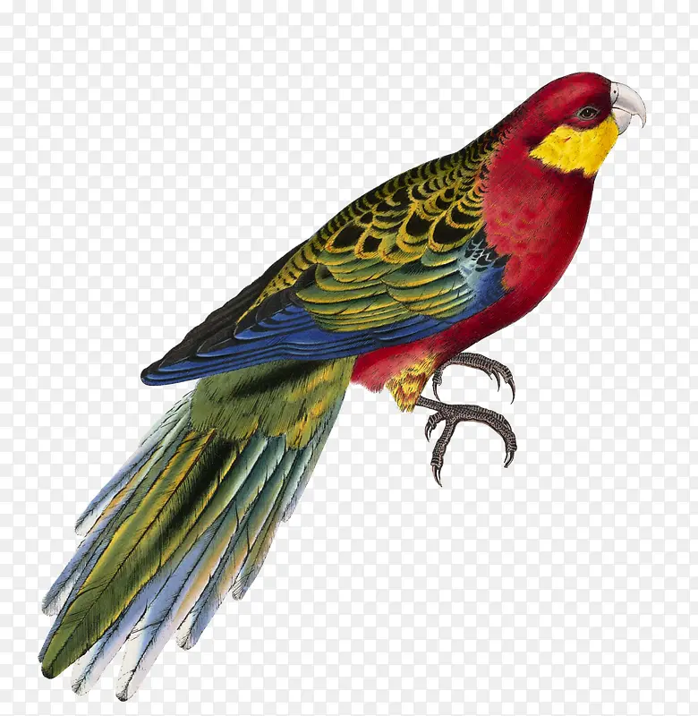 ��ͨ�ɰ�С����װ�ζ���ͷ��-������