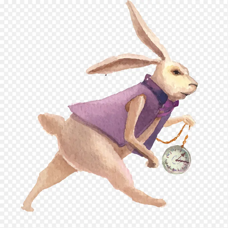 ��ͨ�ɰ�С����װ�ζ���ͷ��-������