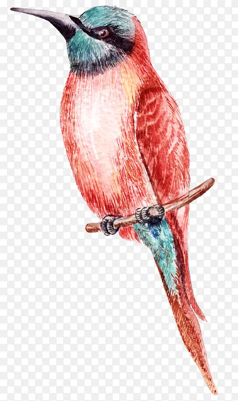 ��ͨ�ɰ�С����װ�ζ���ͷ��-������