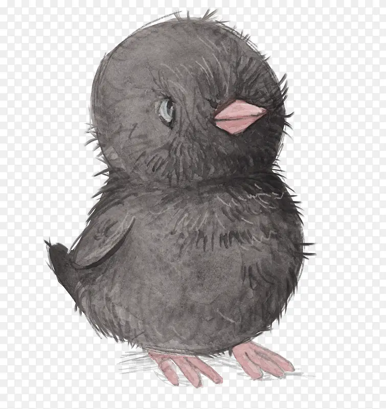 ��ͨ�ɰ�С����װ�ζ���ͷ��-������