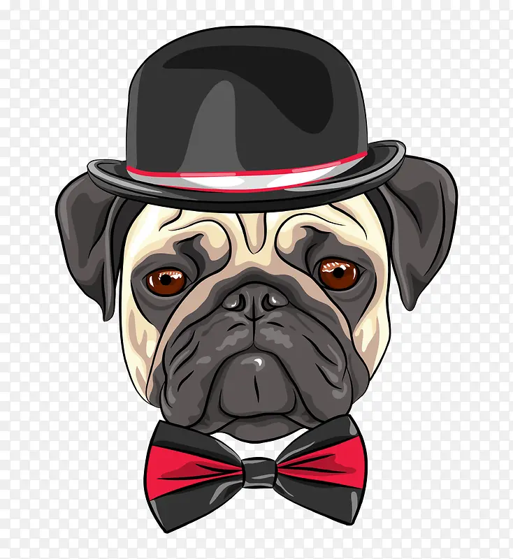 ��ͨ�ɰ�С����װ�ζ���ͷ��-������