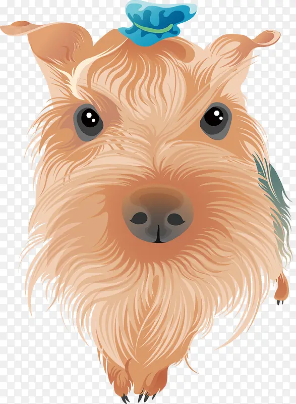 ��ͨ�ɰ�С����װ�ζ���ͷ�񹷹�-������