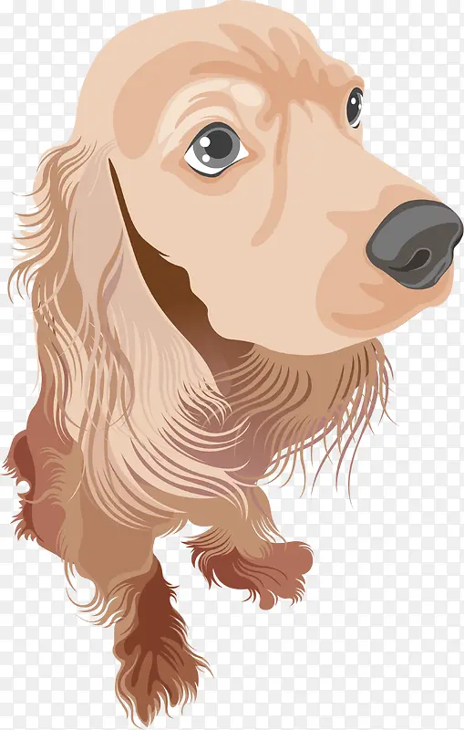 ��ͨ�ɰ�С����װ�ζ���ͷ�񹷹�-������