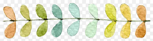 ˮ��Ҷ��-������