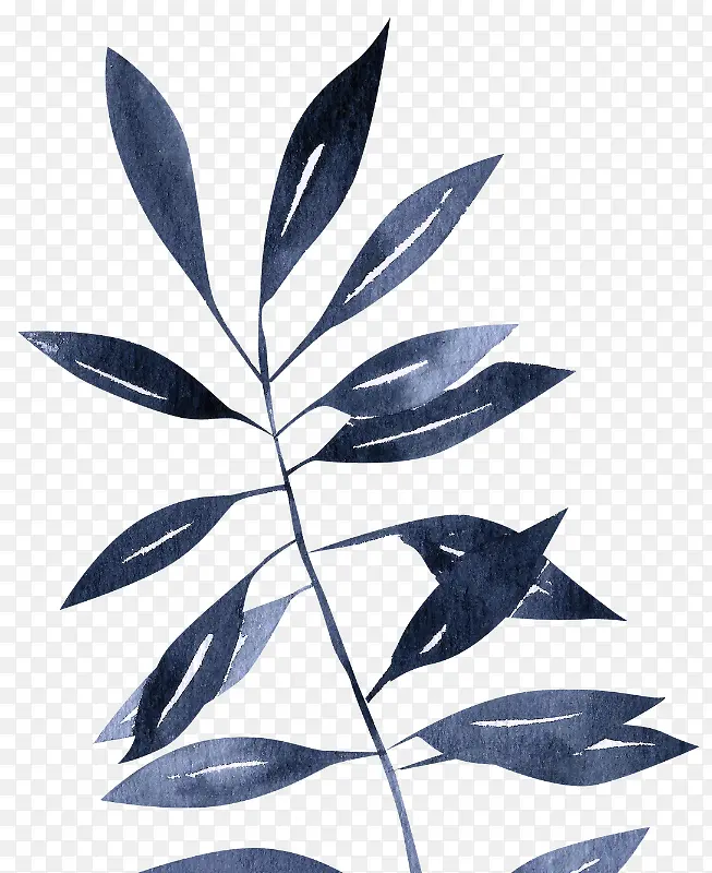 ˮ��Ҷ��-������