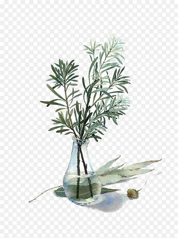 ˮ��Ҷ��-������