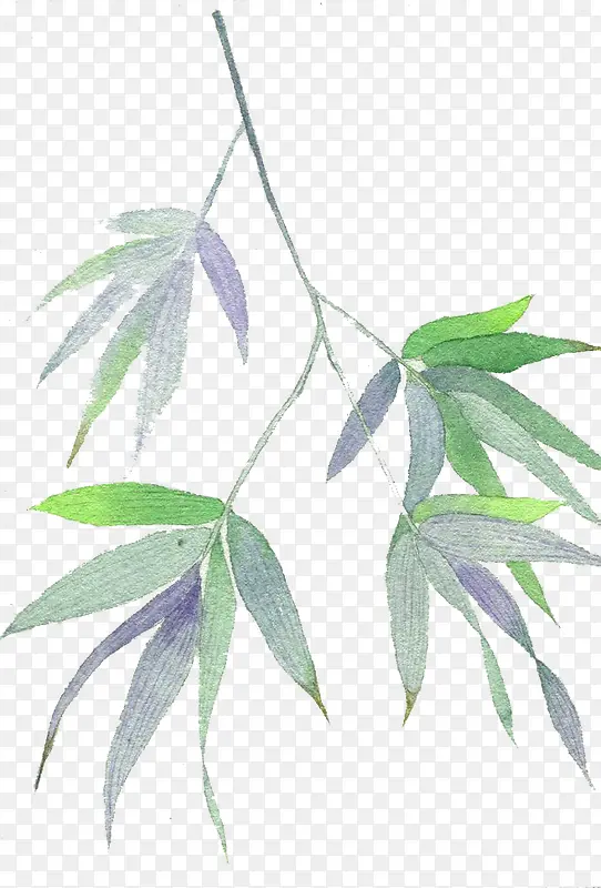 ˮ��Ҷ��-������