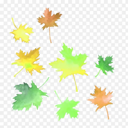 ˮ��Ҷ��-������