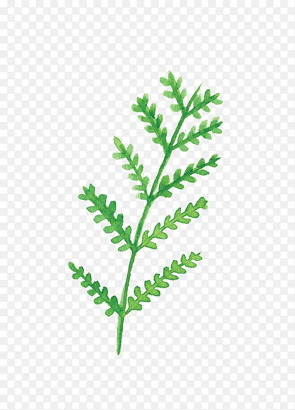 ��ͨ�ֻ�ֲ��-������