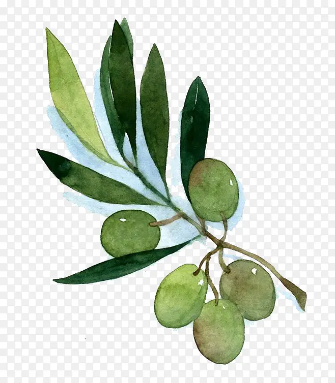 ˮ��Ҷ��-������