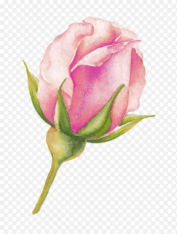 ˮ�ʻ���-������