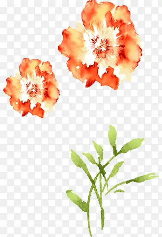 ˮ�ʻ���-������