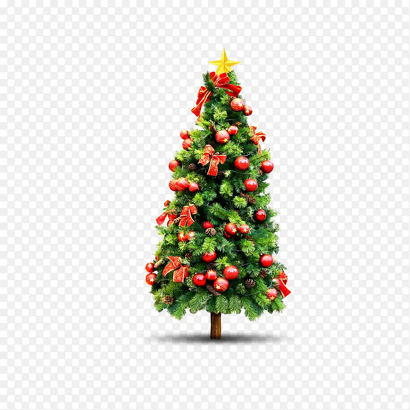 ���� �� �ز�-������