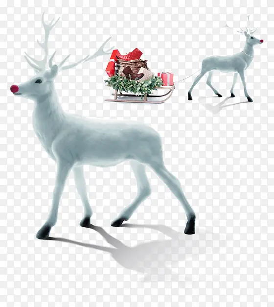 ʸ��ʥ����¹�ز�-������