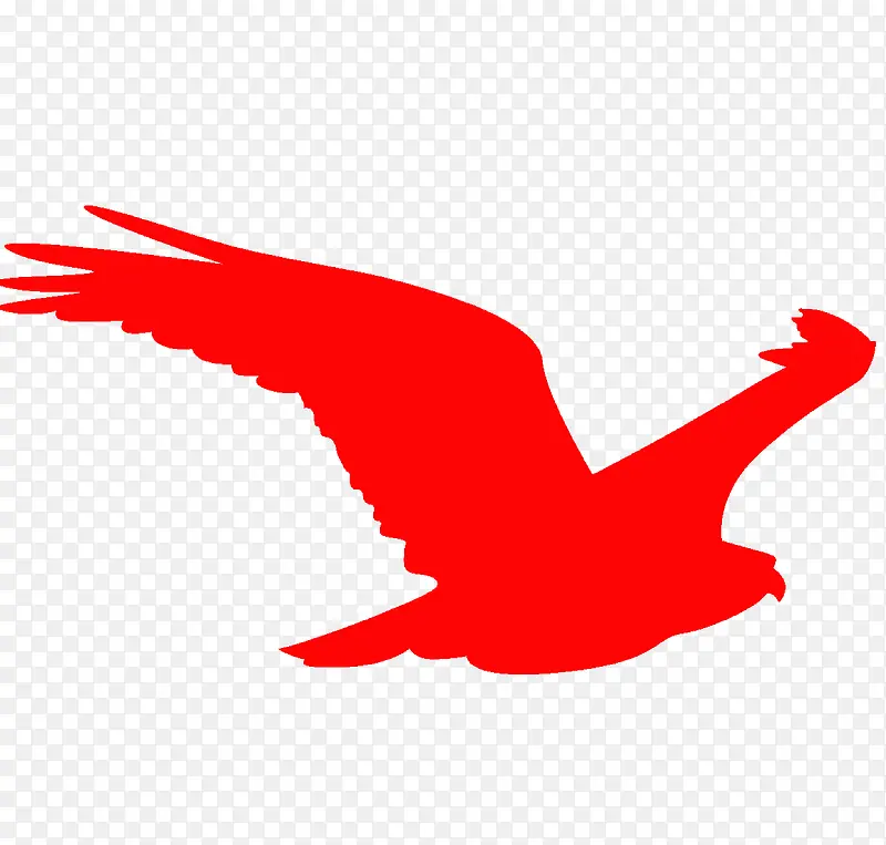 ���� ��ֽ ��-������