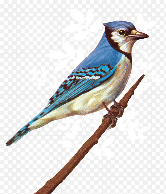 �ֻ�-������