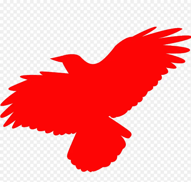 ���� ��ֽ ��-������