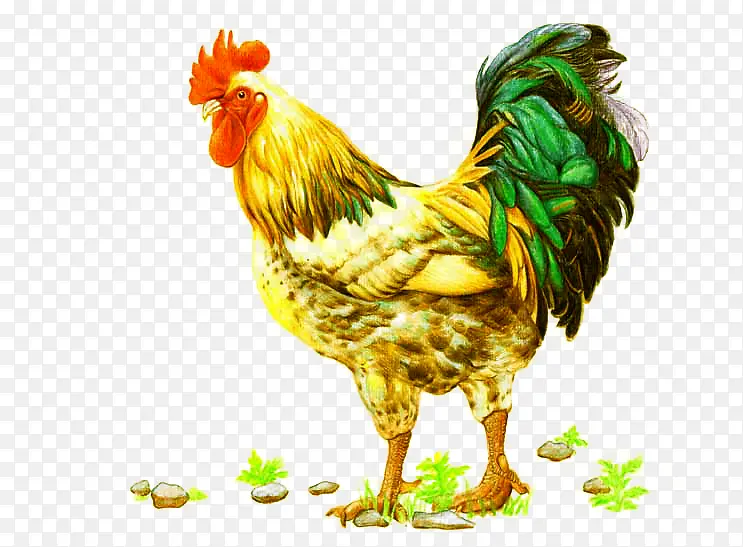 �ֻ湫��-������